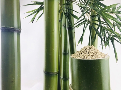 Bamboo Fiber cat litter